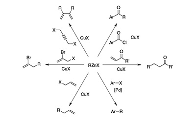 Organozinc Reagents Reactions Organozinc Reagents