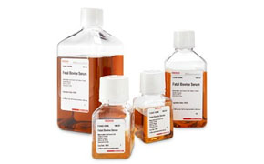 (Other) Sera The image displays four amber glass bottles with white labels, each containing a chemical solution for in vitro diagnostic use, marked with ‘Rx Only’.