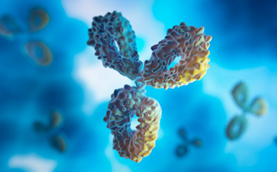 Découverte de médicaments à base d'anticorps Anticorps de l'immunoglobuline G en bleu et jaune