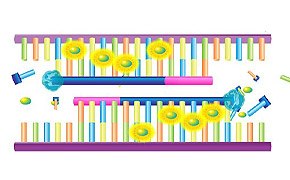 qPCR PCR quantitative