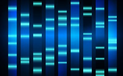 Électrophorèse d'acides nucléiques sur gel Électrophorèse d'acides nucléiques sur gel