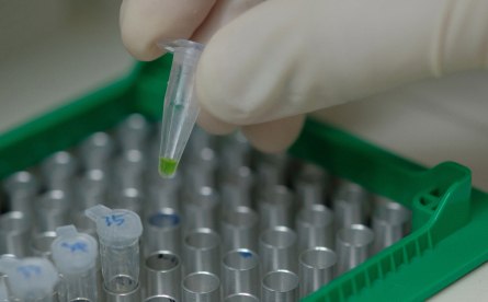 Applications de PCR Applications de PCR