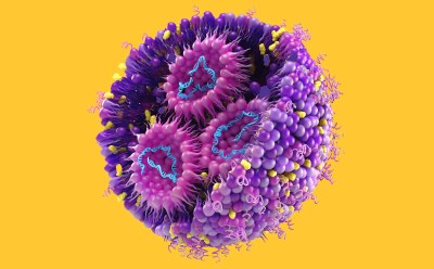 RNA Therapies Drawing of a liposome.