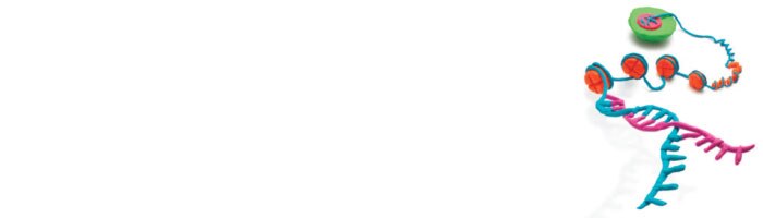 Shaping Epigenetics Discovery