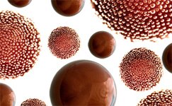 Competitive Tests Competitive Tests