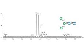 Mass Spectometry Mass Spectometry