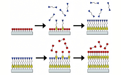 Chemical Vapor Deposition Chemical Vapor Deposition