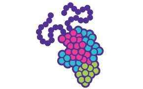 Graphique d'une sous-unité de protéines Vaccins contre les sous-unités protéiques