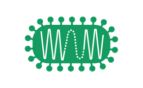 Vaccins à vecteur viral Graphique d'une particule apparentée à un virus (VLP)