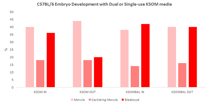 percent-morula-cavitating Percent morula, cavitating morula and blastocysts after 72 hours in culture under various mouse embryo media conditions. KSOM=growth in standard KSOM media. KSOMBAL= retrieval and growth in Advanced KSOM media. IN= growth media was pre-equilibrated. OUT= no pre-equilibration of media.