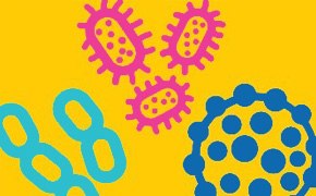 Pyrogen Testing Pyrogen Testing