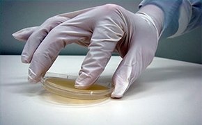 Surface & Personnel Testing Surface & Personnel Testing