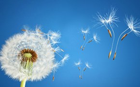 Analyse et QC pharmaceutiques Analyse et QC pharmaceutiques