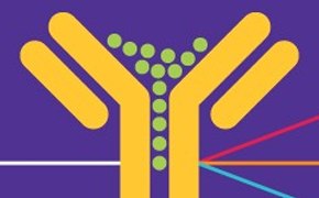 フローサイトメトリー 黄色の抗体とそれに結合する緑色の抗原。紫色を背景にさまざまな相互作用や反応を表すカラフルな線が描かれている。