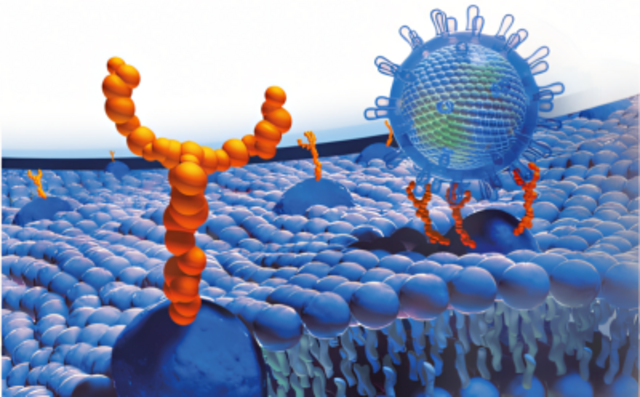 Glycobiology Glycobiology